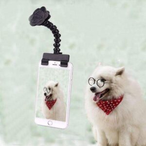 Flexible gooseneck mounting arm